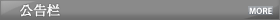 公告栏 MORE