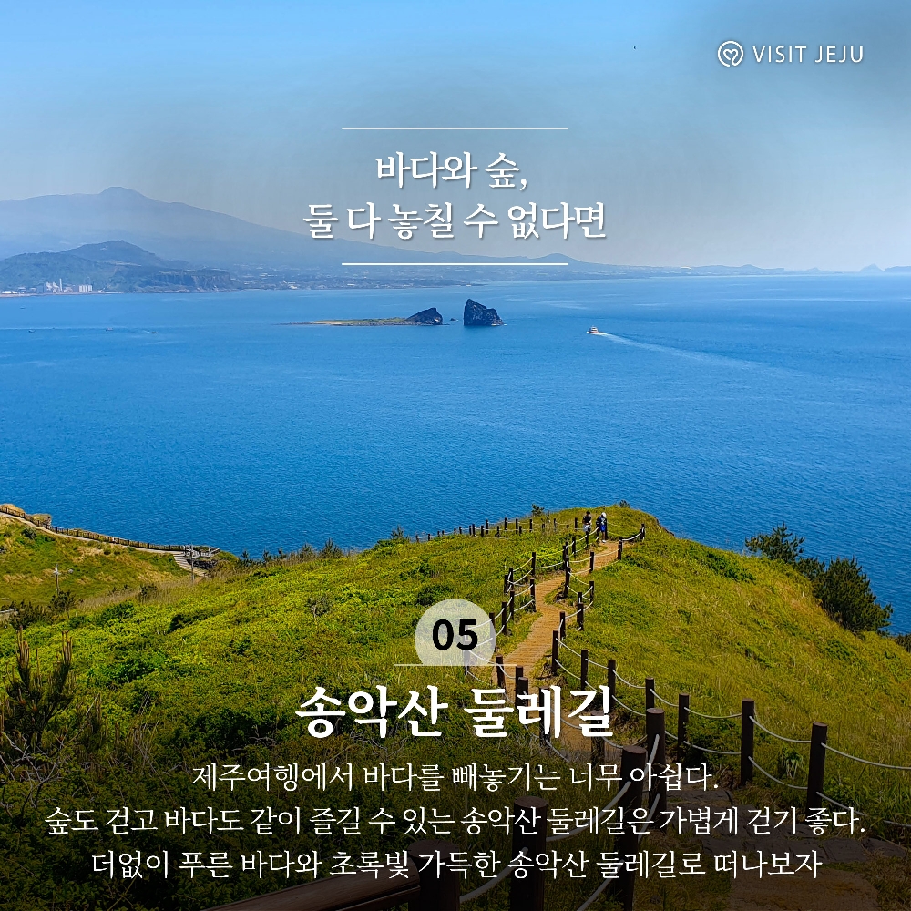 5. 바다와 숲, 둘 다 놓칠 수 없다면 <송악산둘레길 />
제주여행에서 바다를 빼놓기는 너무 아쉽다. 숲도 걷고 바다도 같이 즐길 수 있는 송악산 둘레길은 가볍게 걷기 좋다. 더없이 푸른 바다와 초록빛 가득한 송악산 둘레길로 떠나보자