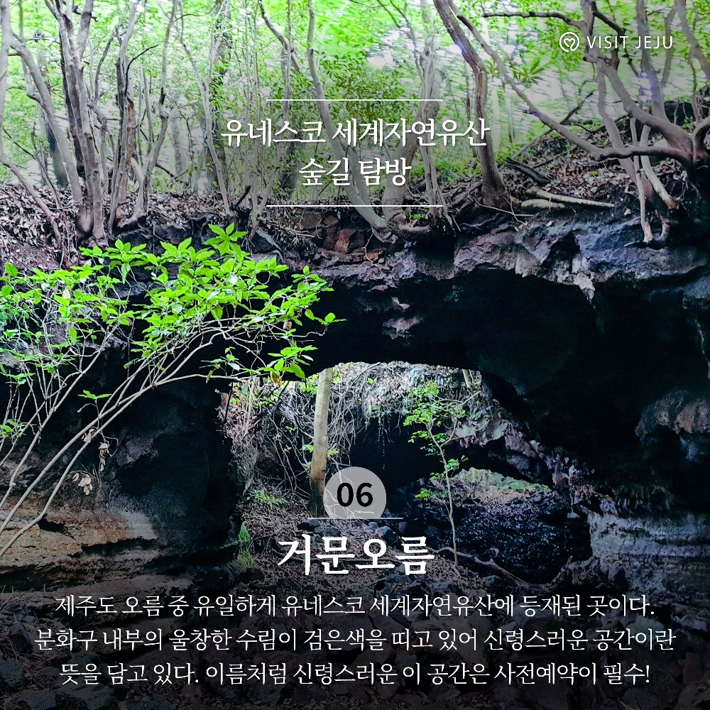 6. 유네스코 세계자연유산 숲길 탐방 <거문오름 />
제주도 오름 중 유일하게 유네스코 세계자연유산에 등재된 곳이다. 분화구 내부의 울창한 수림이 검은색을 띠고 있어 신령스러운 공간이란 뜻을 담고 있다. 이름처럼 신령스러운 이 공간은 사전예약이 필수!