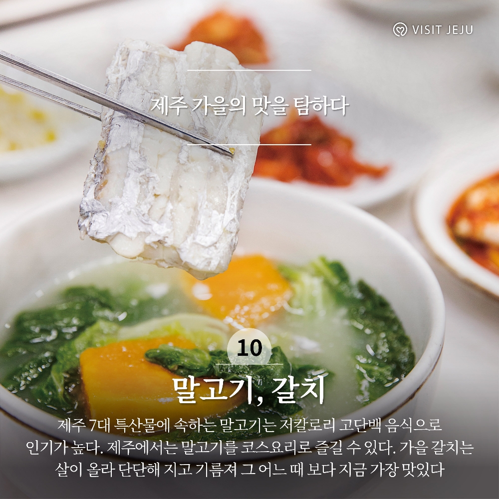 10. 제주 가을의 맛을 탐하다 <말고기, 갈치 />
제주 7대 특산물에 속하는 말고기는 저칼로리 고단백 음식으로 인기가 높다. 제주에서는 말고기를 코스요리로 즐길 수 있다. 가을 갈치는 살이 올라 단단해 지고 기름져 그 어느 때 보다 지금 가장 맛있다