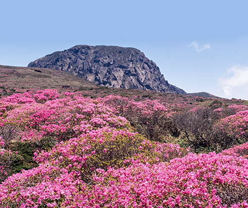 한라산