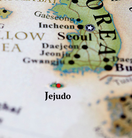 MICE 유치 및 홍보 지원