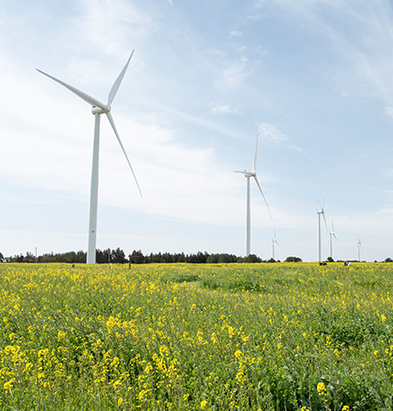 지속가능한 그린 마이스 육성